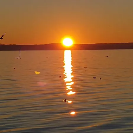 アパート Fischbach *