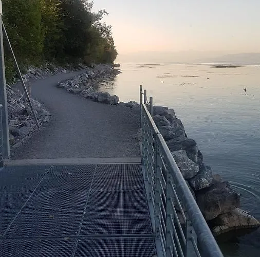 Fischbach فريدريشسهافن